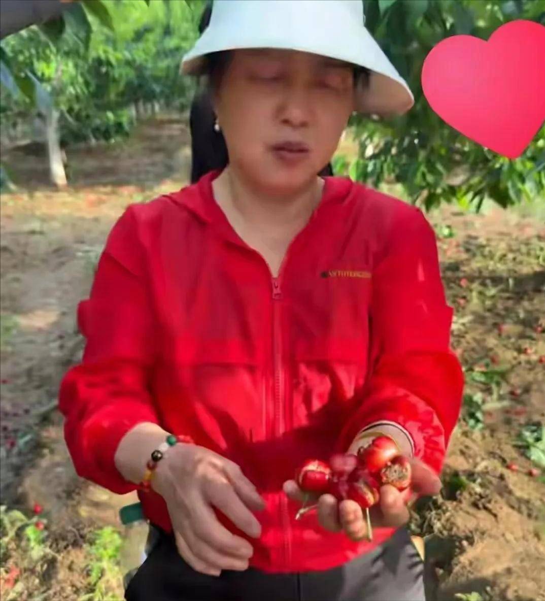 李雨禅被刑拘:封号只是开始,果农曝细节追责