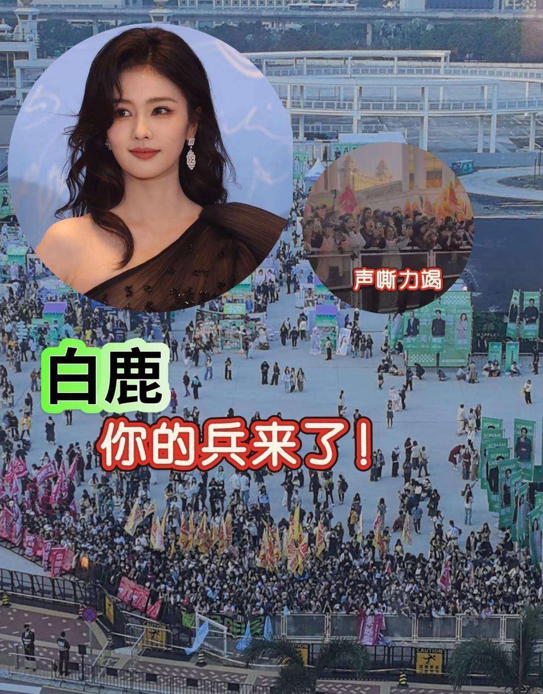 白鹿六连辟谣:小城女孩人设崩塌?真相来了