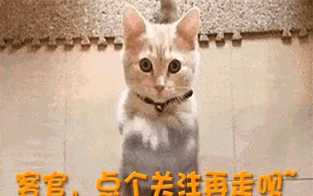 白鹿风波升级!圈内人曝猛料十万红包
