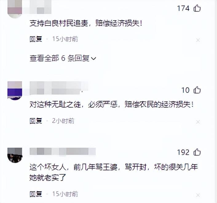 李雨禅被刑拘:封号只是开始,果农曝细节追责