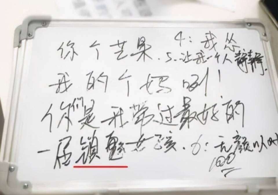 明星写字卡壳引热议：文化素养堪忧