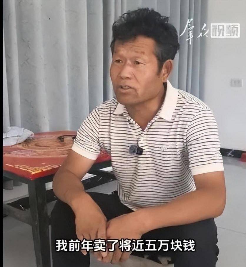 李雨禅被刑拘:封号只是开始,果农曝细节追责