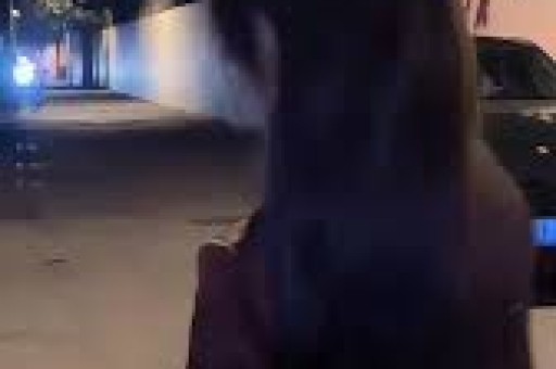 梅果砸店抄袭风波：一年狂开138店加盟商亏损加剧