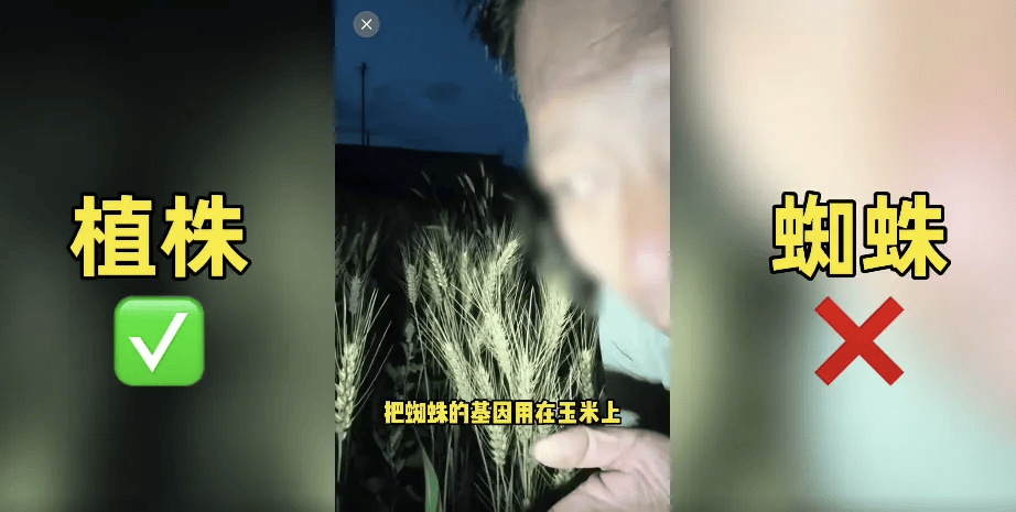 200万网红造谣袁隆平杂交水稻，账号被封真相